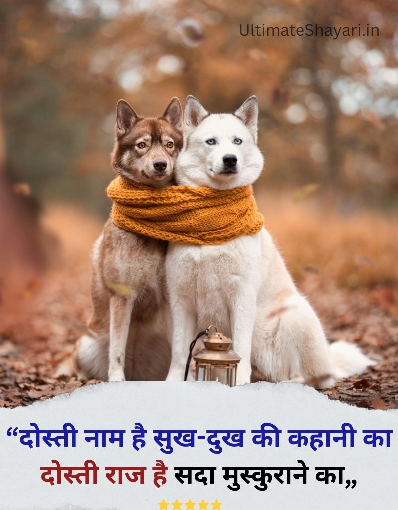 Dosti Shayari